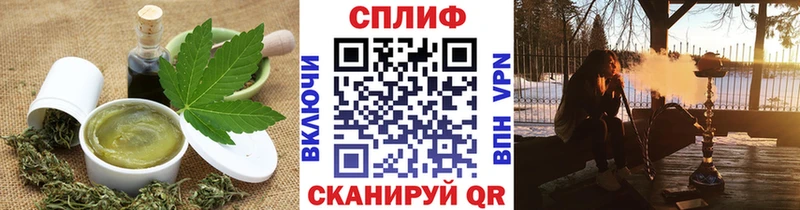Cannafood марихуана  Сланцы 