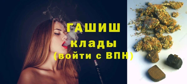 прущие грибы Новозыбков
