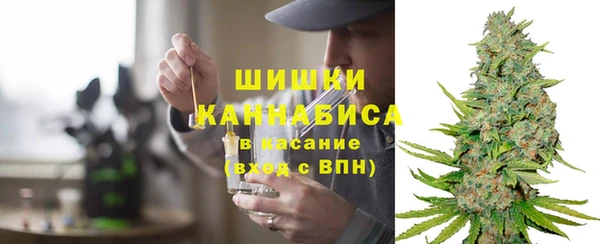 мдпв Богданович