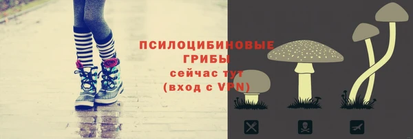 круглые Богородицк