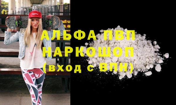 мдпв Богданович