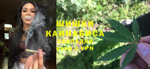 мдпв Богданович