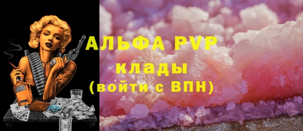 мдпв Богданович