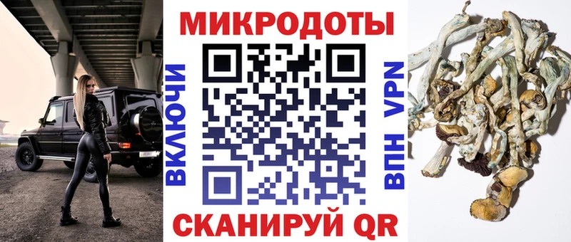 Псилоцибиновые грибы ЛСД Сланцы